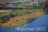 Luftaufnahme NATURSCHUTZ/Schilfguertel am Zugersee - Foto Schilfguertel 5764