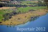 Luftaufnahme NATURSCHUTZ/Schilfguertel am Zugersee - Foto Schilfguertel 5765