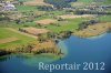 Luftaufnahme NATURSCHUTZ/Schilfguertel am Zugersee - Foto Schilfguertel 5768