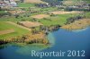 Luftaufnahme NATURSCHUTZ/Schilfguertel am Zugersee - Foto Schilfguertel 5769