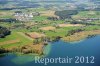 Luftaufnahme NATURSCHUTZ/Schilfguertel am Zugersee - Foto Schilfguertel 5771