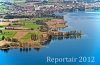 Luftaufnahme NATURSCHUTZ/Schilfguertel am Zugersee - Foto Schilfguertel bearbeitet 5681