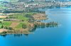 Luftaufnahme NATURSCHUTZ/Schilfguertel am Zugersee - Foto Schilfufer 5681