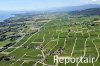 Luftaufnahme LANDWIRTSCHAFT/Weinberge Genfersee - Foto Rolle 2573