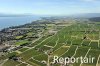 Luftaufnahme LANDWIRTSCHAFT/Weinberge Genfersee - Foto Rolle 2575