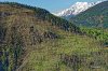 Luftaufnahme FEUER/Visp Waldbrand - Foto Visp Waldbrand 4177 DxO