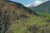 Luftaufnahme FEUER/Visp Waldbrand - Foto Waldbrandwald 4177