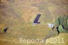 Luftaufnahme Kanton Schwyz/Rothenturm/Rothenturm Modellflugpiste - Foto Rothenthurm Modellflug 7559