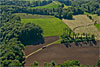 Foto 297: Feld-, Wiesen-und Waldlandschaft bei Duggingen (BL). ..