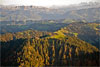 Foto 401: Der Napf ist ein beliebter Ausflugsberg.